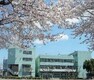 小学校 【小学校】妻田小学校まで802m