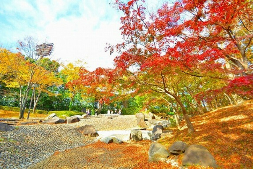 公園 一本杉公園　距離約800m