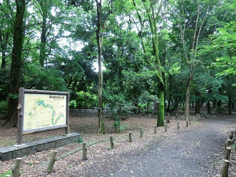 周辺環境 都立和田堀公園