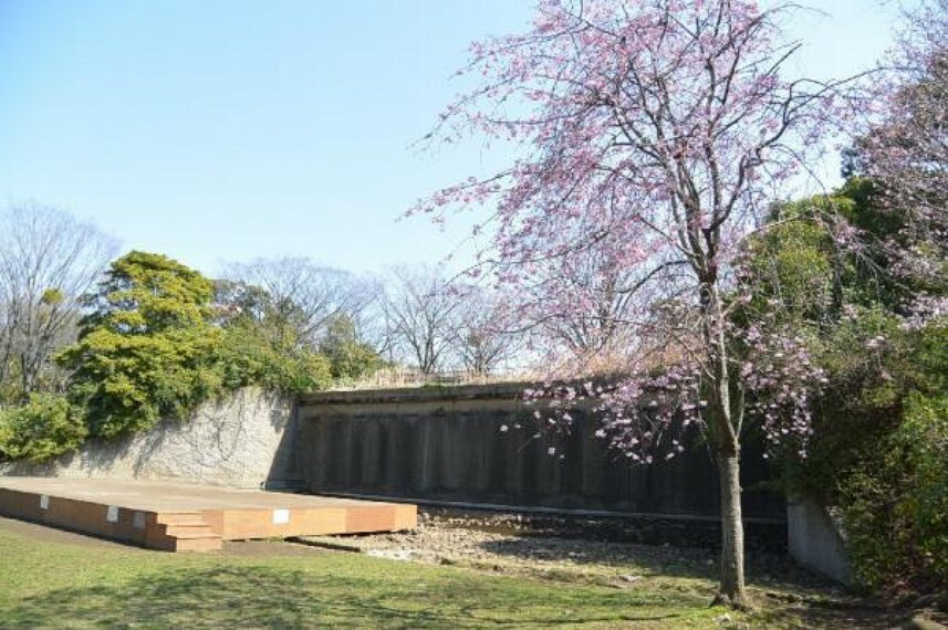 公園 茅ヶ崎中央公園