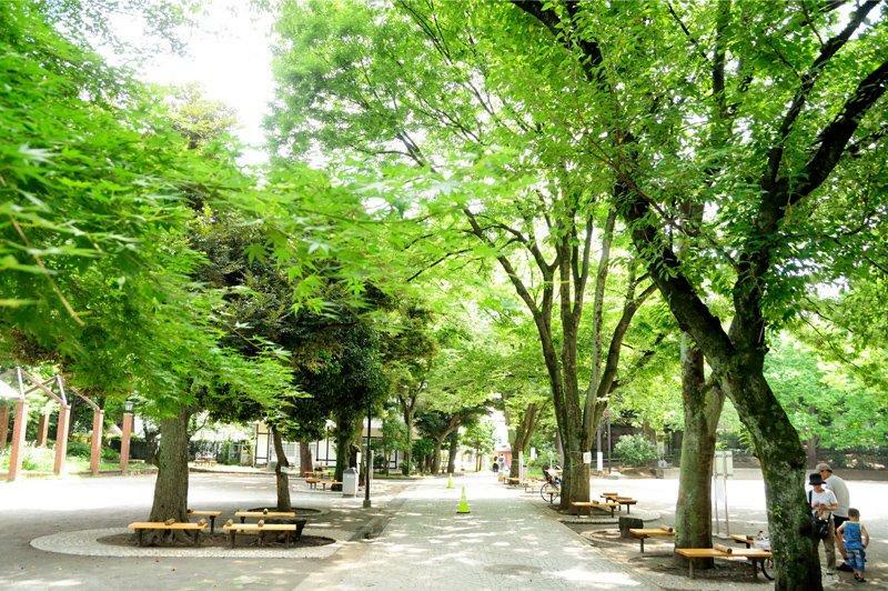 文京区立　大塚公園　徒歩13分です。