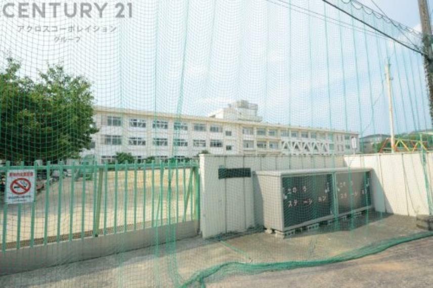 小学校 【小学校】池田市立石橋小学校まで529m