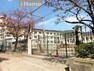 小学校 神戸市立こうべ小学校 徒歩9分。