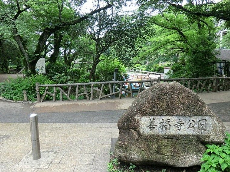 周辺環境 周辺環境:善福寺公園