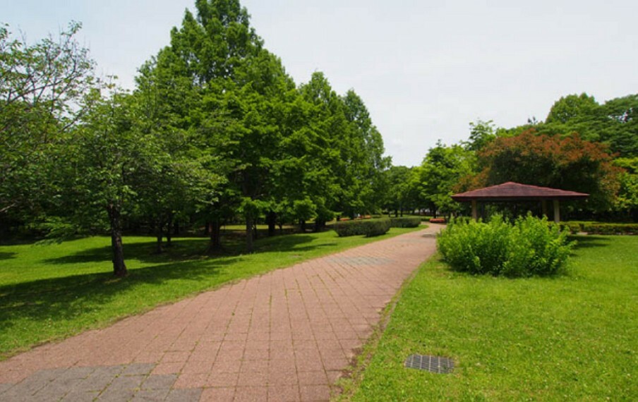 公園 現地から1220m（最長）　長岡公園　自然とのふれあいや、軽スポーツを含むレクリエーション活動に利用できる10.9haの大規模公園です。ローラー滑り台やジョギングコースがあり、家族で楽しむ事ができます。