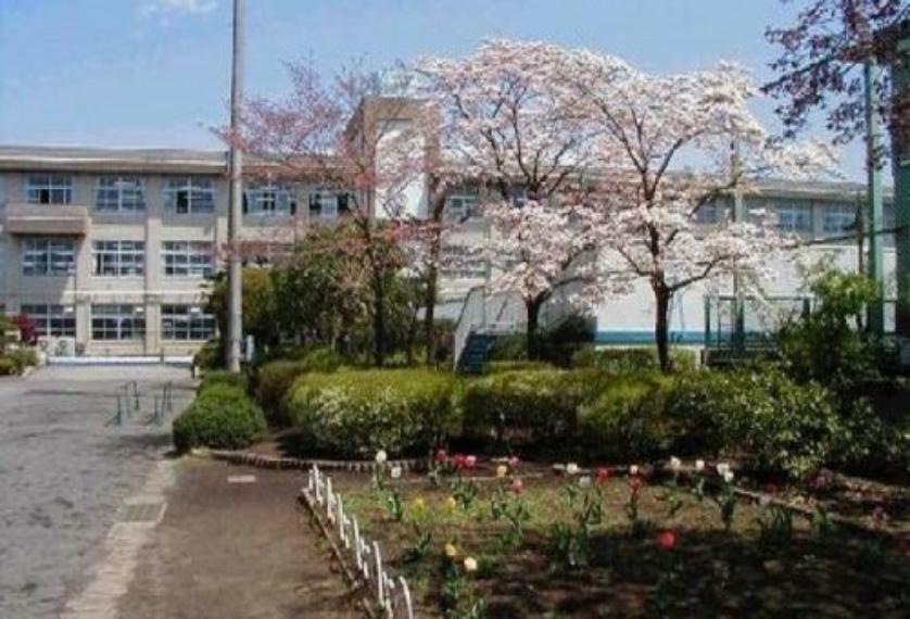 小学校 【小学校】松枝小学校まで798m