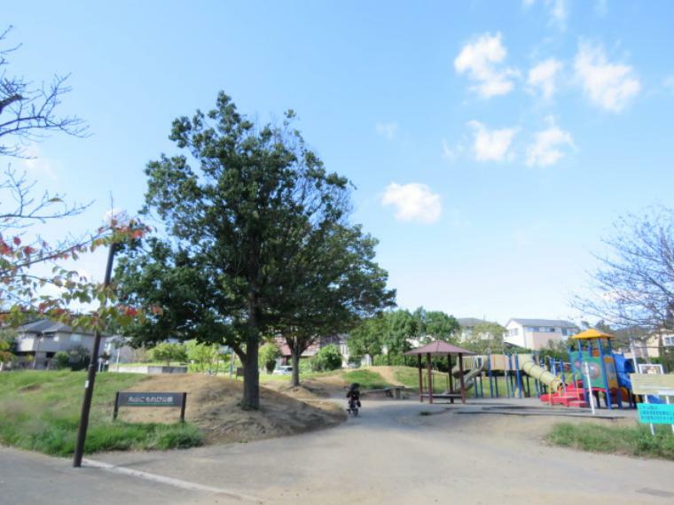 公園 【公園】丸山こもれび公園まで180m