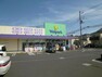 ドラッグストア ウェルパーク志木幸町店