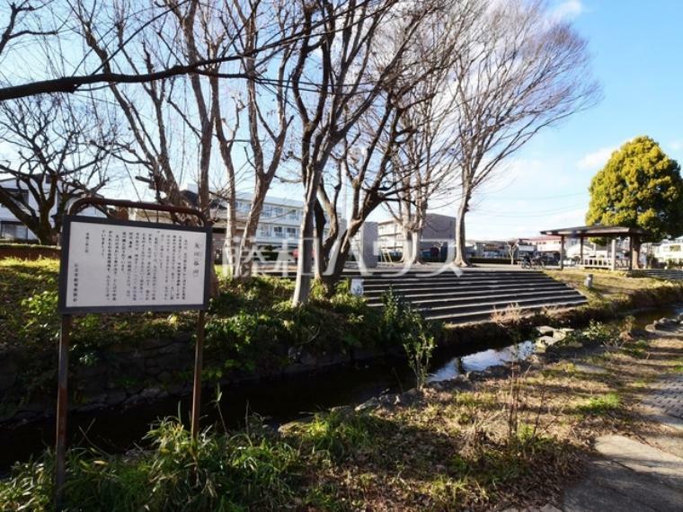 公園 矢川いこいの広場