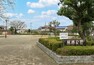 公園 桜株公園
