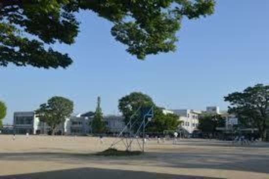 小学校 碧南市立新川小学校