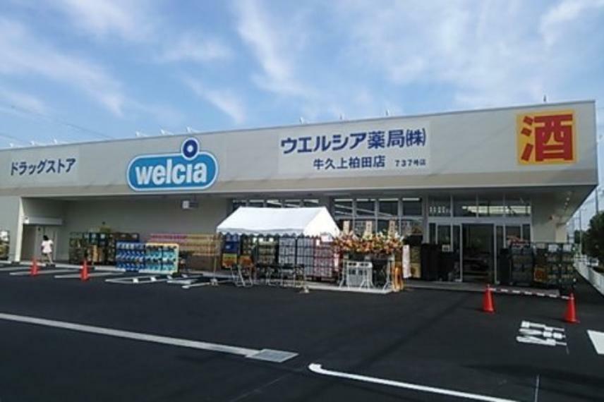 ドラッグストア 【ドラッグストア】ウエルシア 牛久上柏田店まで733m