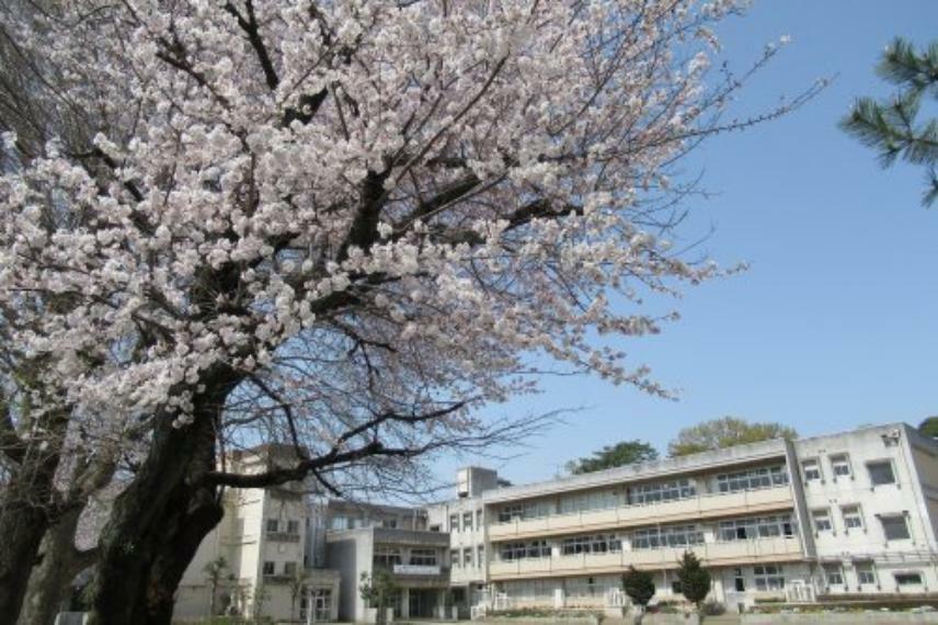 小学校 【小学校】第八小学校まで2153m