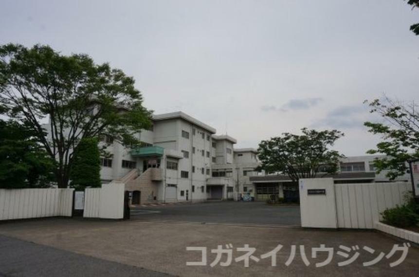 中学校 【中学校】菖蒲中学校まで1643m