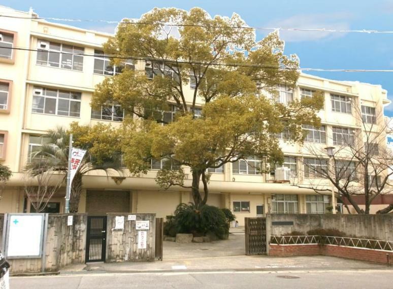 小学校 周辺 羽曳野市立恵我之荘小学校