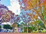 公園 南生田公園　距離約110m