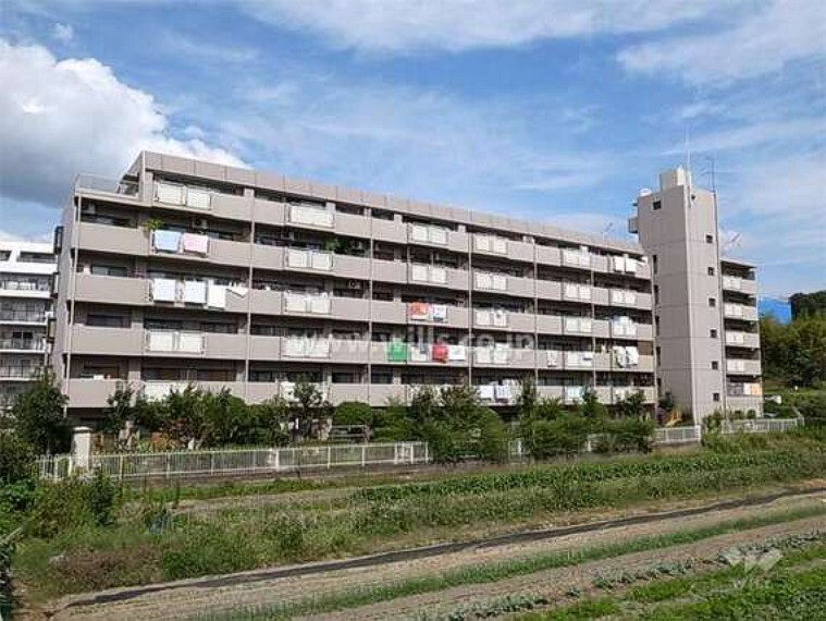 サンライズ桃山台 5階