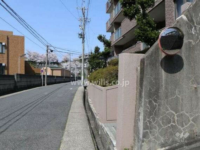 現況写真 敷地南側の前面道路