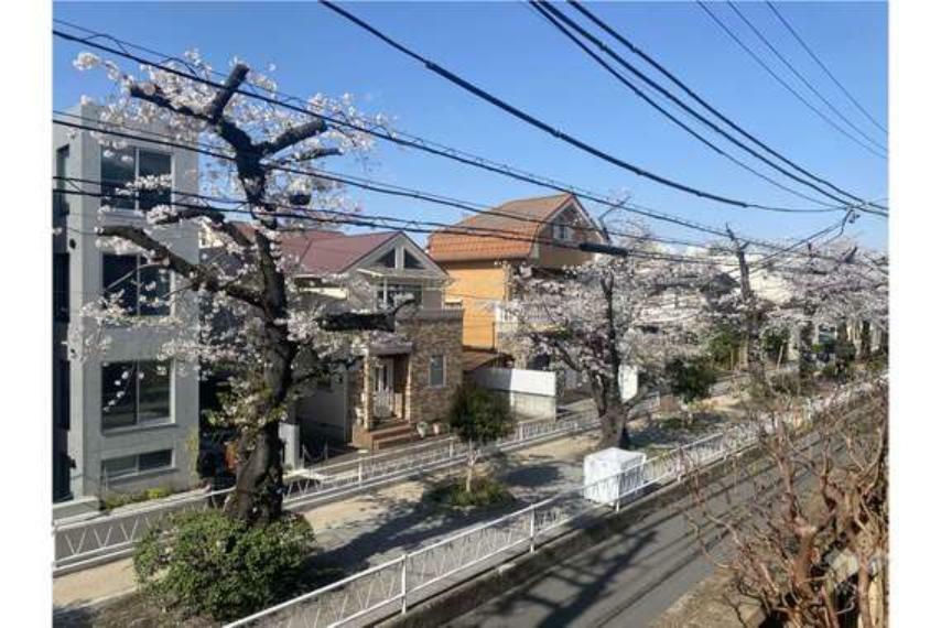 眺望 バルコニーからの眺め。呑川緑道に面しており、春には桜を楽しむことができます。