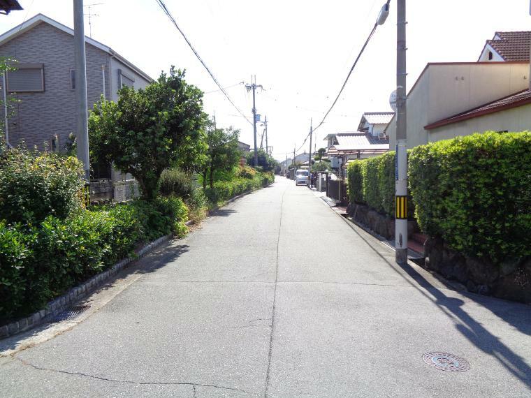 現況写真 西側接道　公道　幅員8.3m（水路含む）