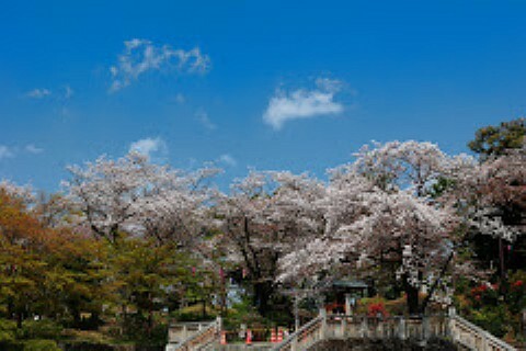 公園 飛鳥山公園まで徒歩約7分（569m）