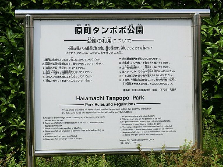 周辺環境:原町タンポポ公園