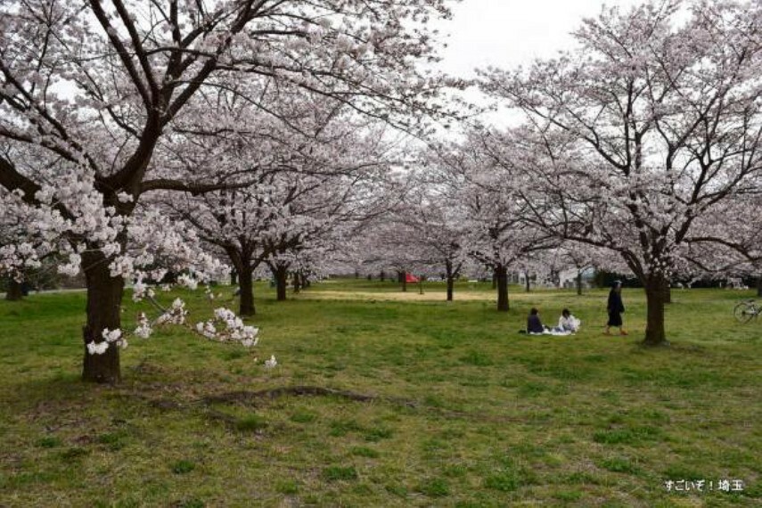 公園 河川敷中央公園