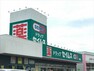 ドラッグストア ドラッグセイムス根岸店