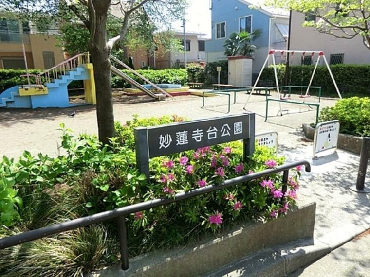 妙蓮寺台公園 滑り台やブランコがあります。
