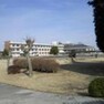 小学校 【小学校】石塚小学校まで1831m