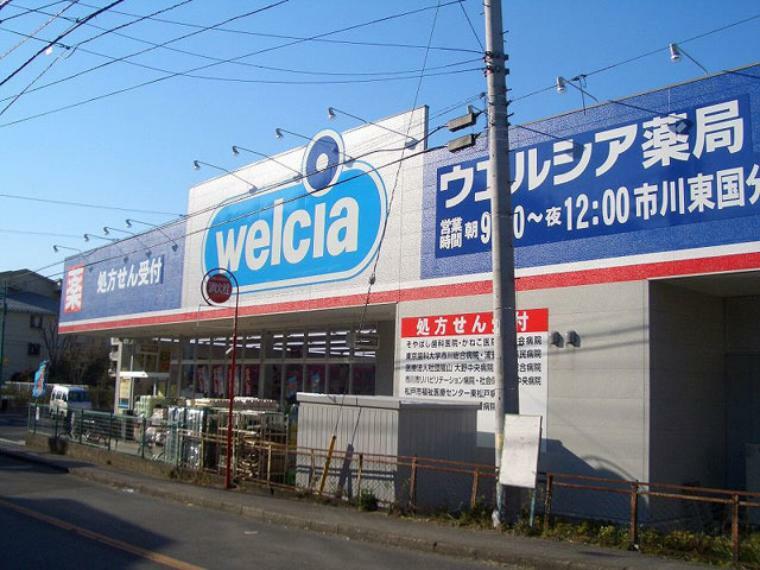 ドラッグストア ウエルシア薬局市川東国分店