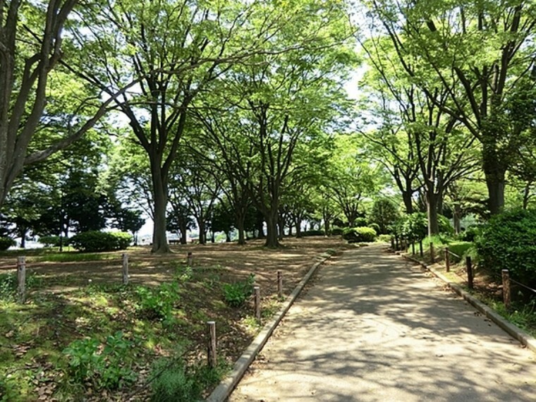 公園 岡村公園