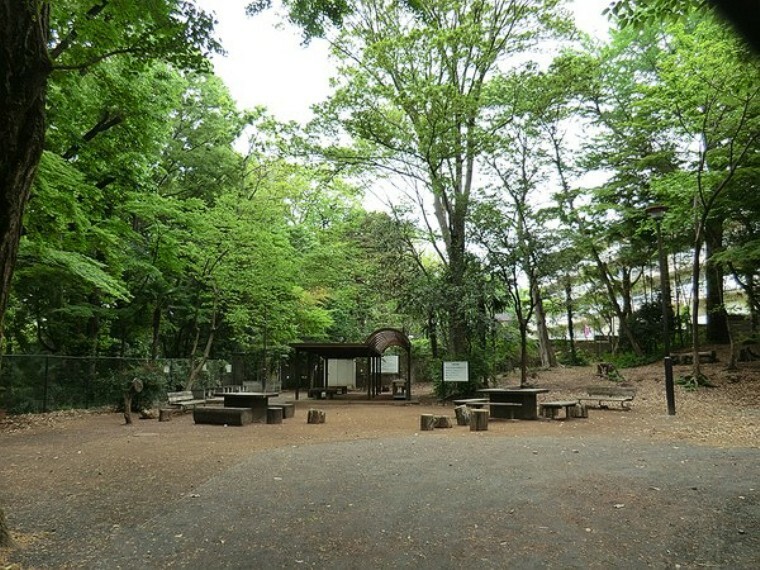 周辺環境 鎌田公園