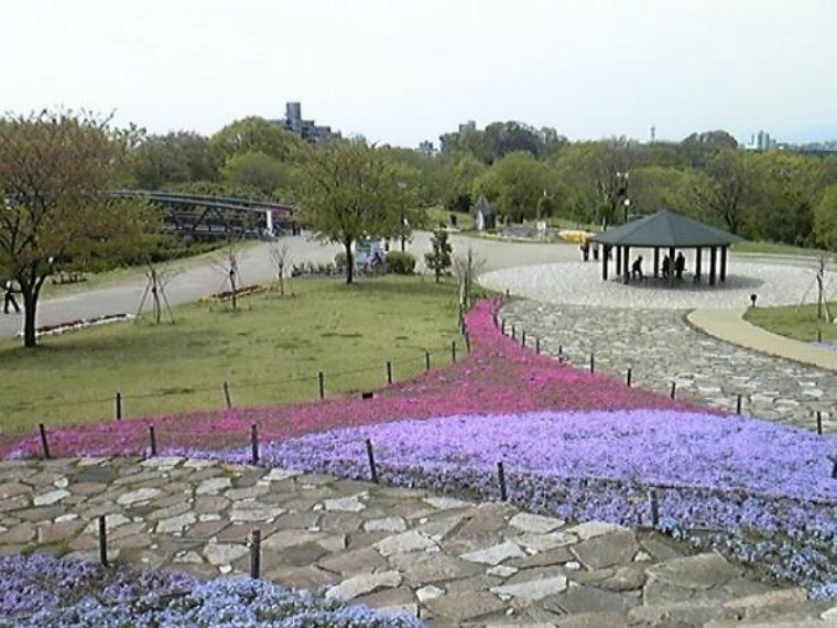 公園 相模三川公園623m