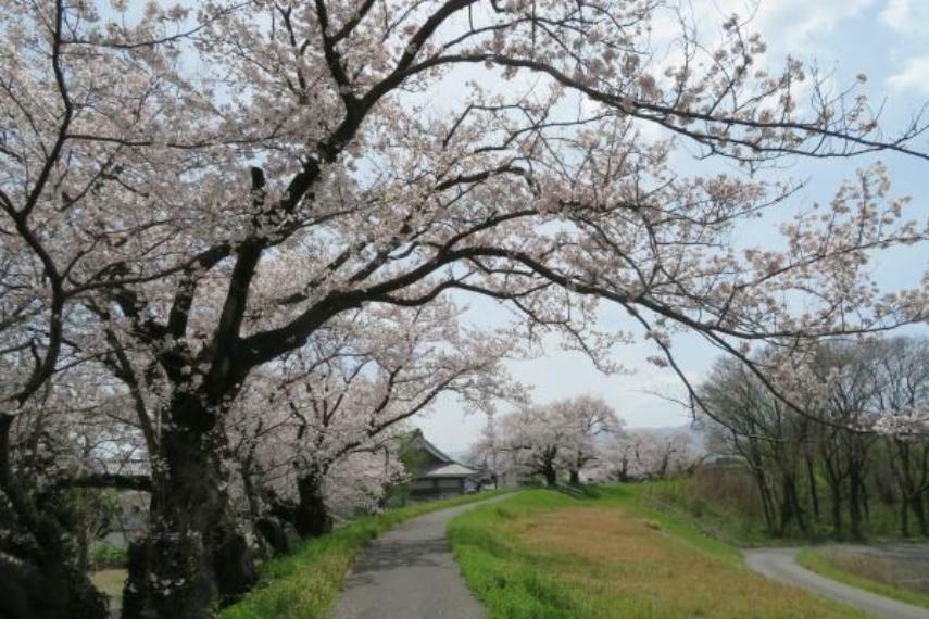 周辺の街並み 宝和公園