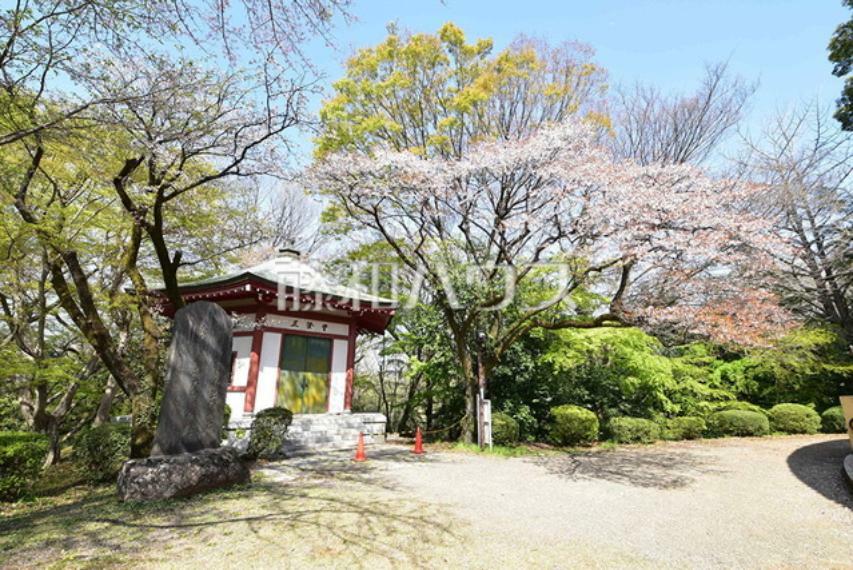 公園 桜ヶ丘公園