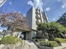 現況写真 「シティコート新松戸壱番館」4階東南向きで陽当たりに恵まれた室内は、2023年11月に新規内装リノベーション済み。新生活にぴったりな住戸です。