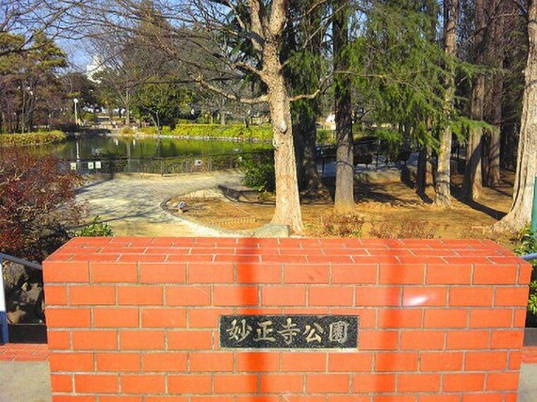 公園 妙正寺公園