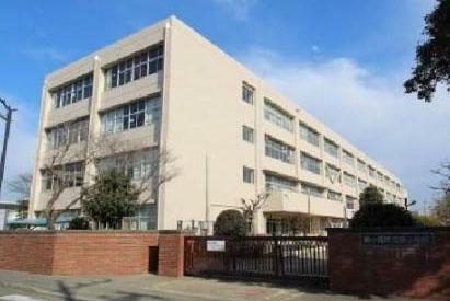 小学校 栄小学校（700m）