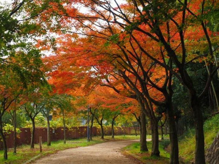 山田西公園