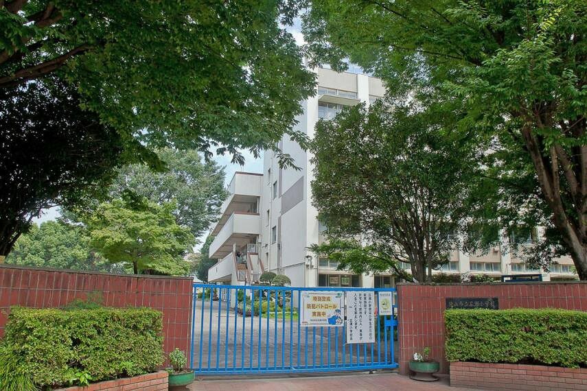 小学校 狭山市立広瀬小学校（569m）