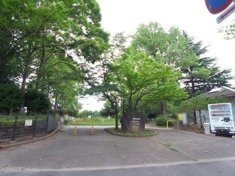 公園 横須賀中央公園