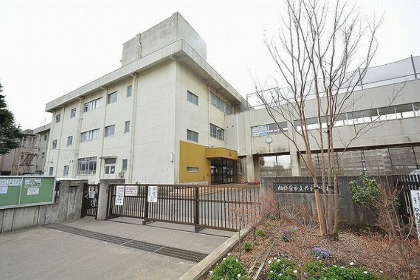 中学校 相模原市立共和中学校　距離約1600m