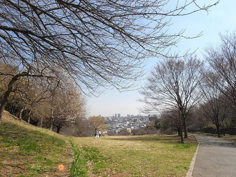 公園 日吉公園（●川崎市との市境に隣接した緑豊かな公園。ブランコ、ジャングルジム、砂場、複合遊具などがあり、子どもが思い切り体を動かして遊べます●）