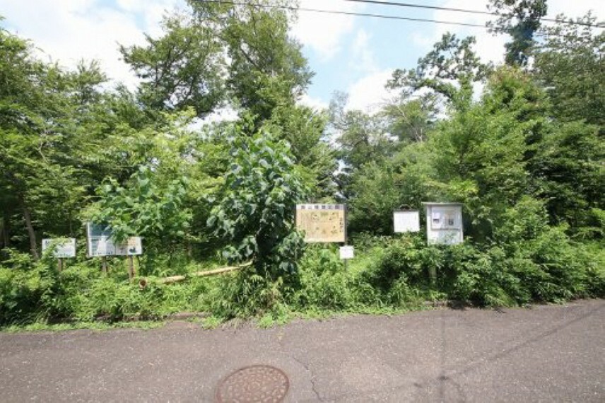 公園 【公園】向山緑地公園まで840m