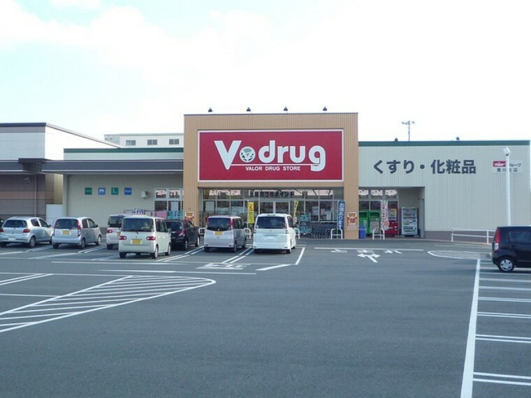 ドラッグストア Vドラッグ豊川北店