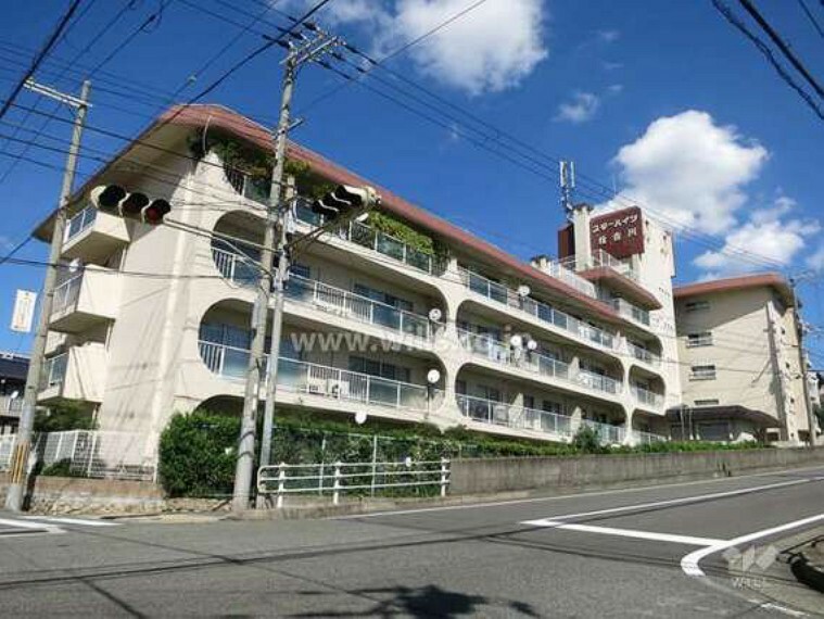 外観写真 スターハイツ住吉川の外観（南西側から）