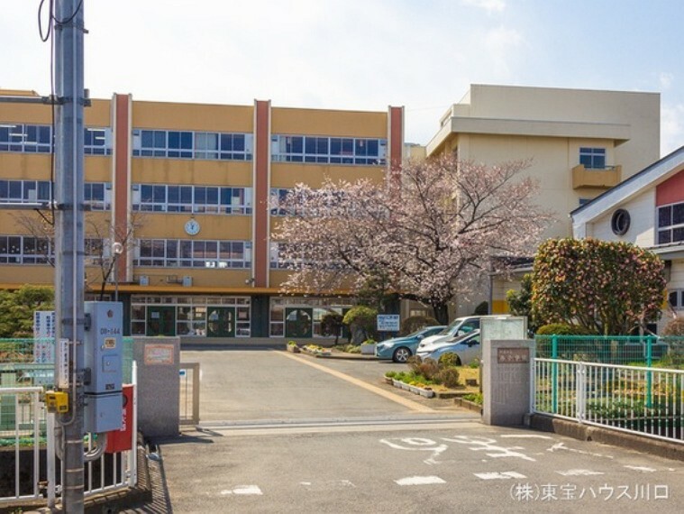 小学校 北本市立西小学校 590m