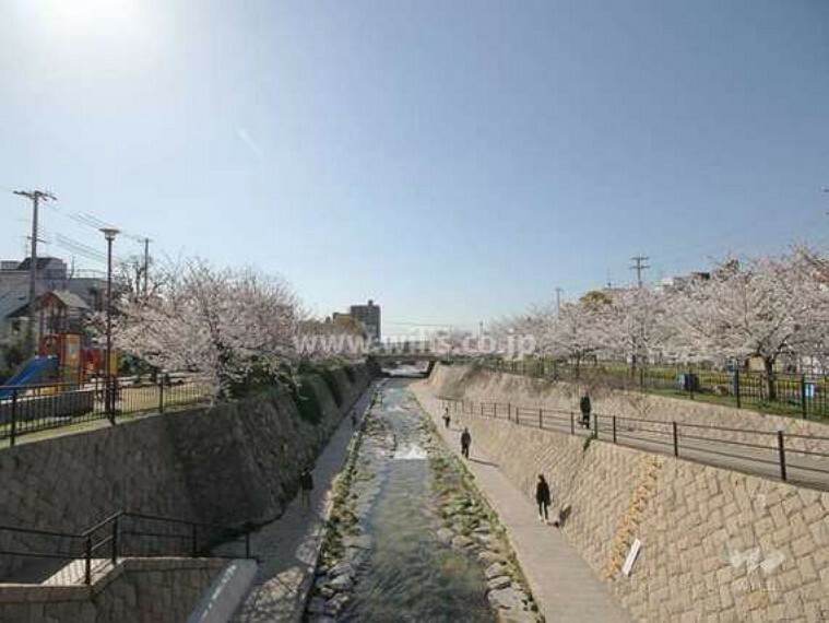 公園 都賀川公園の外観