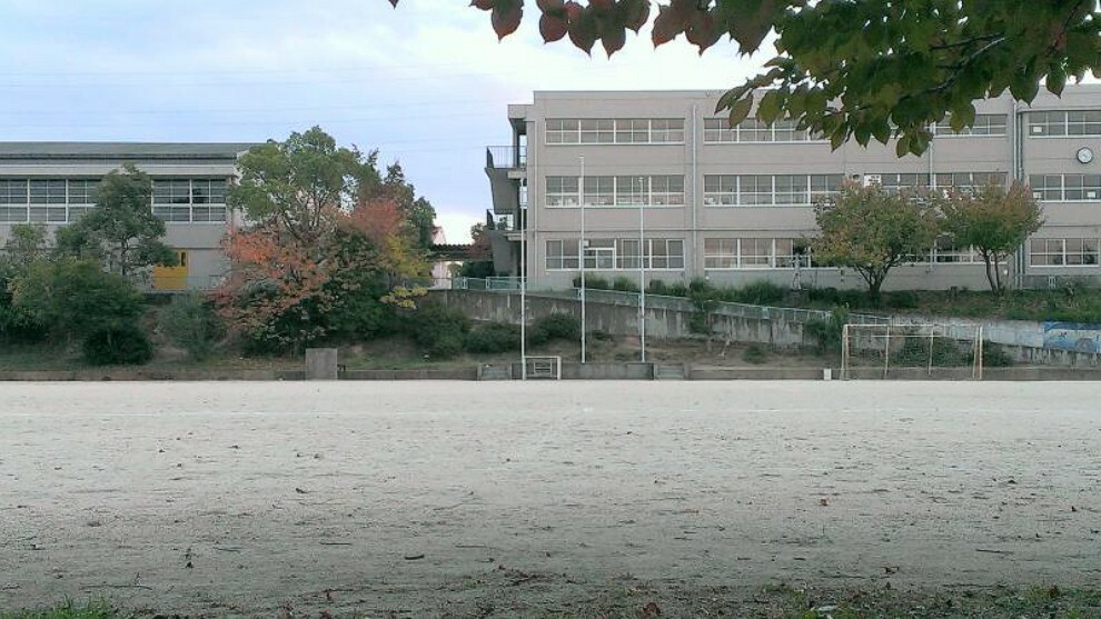 小学校 【小学校】八幡市立くすのき小学校まで1105m